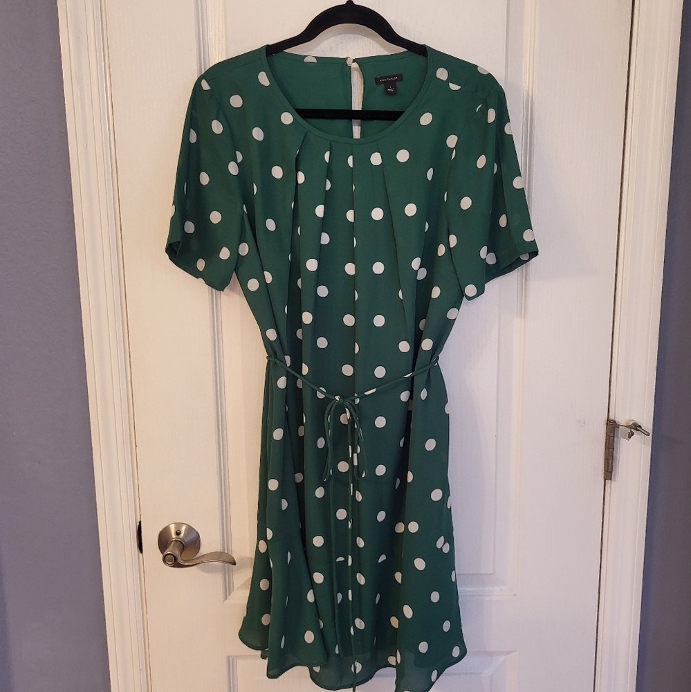 Ann Taylor Dress
